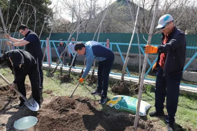 ТАЛАС ШААРЫНДА “КАШТАН” КӨЧӨТТӨРҮ ОТУРГУЗУЛДУ
